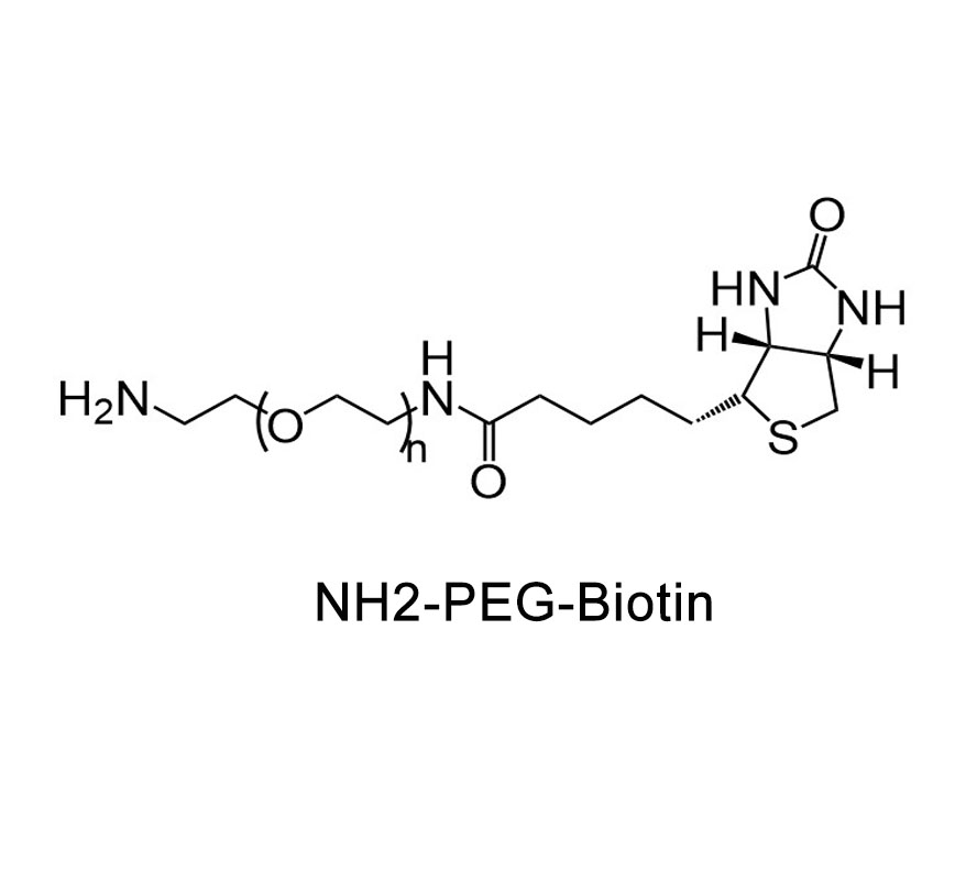 生物素-聚乙二醇-氨基；Biotin-PEG-Amine；Biotin-PEG-NH2