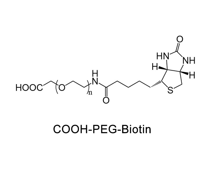 生物素-聚乙二醇-羧基；Biotin-PEG-COOH