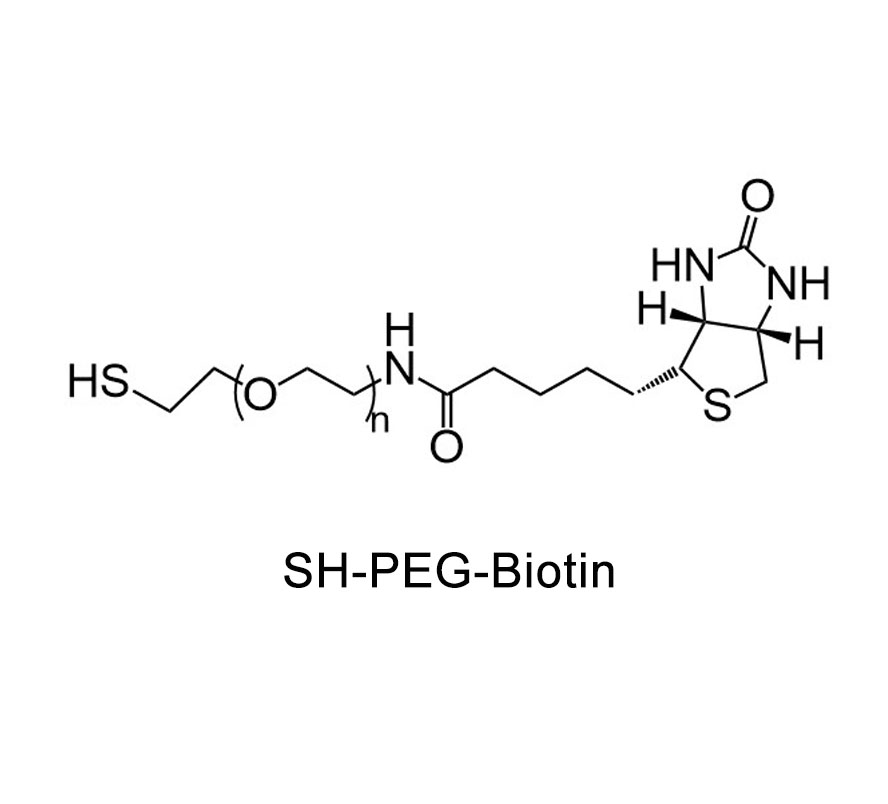 生物素-聚乙二醇-巯基；Biotin-PEG-Thiol；Biotin-PEG-SH