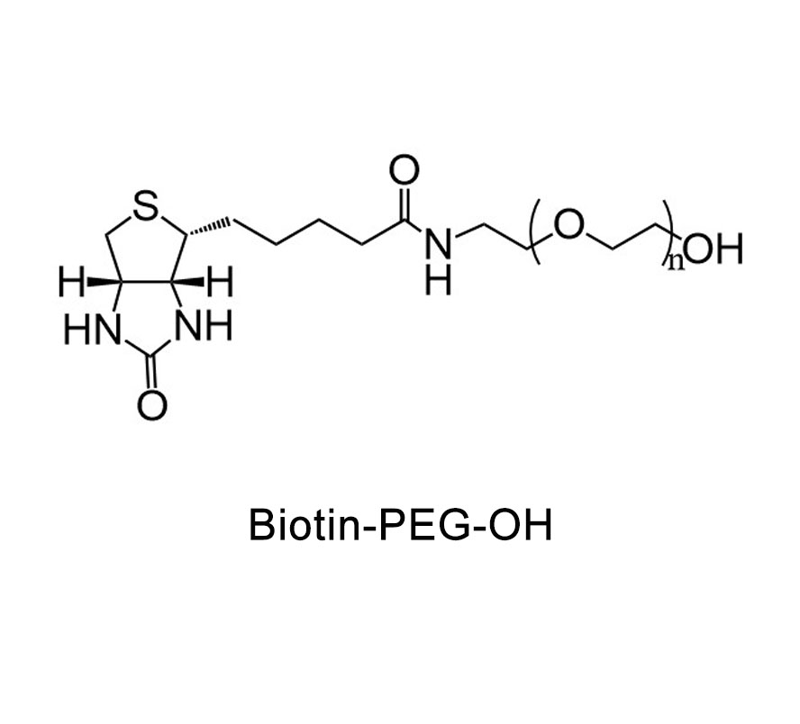 生物素-聚乙二醇-羟基；Biotin-PEG-OH