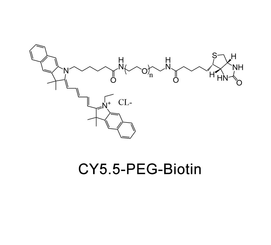 CY5.5-聚乙二醇-生物素；Cy5.5-PEG-Biotin