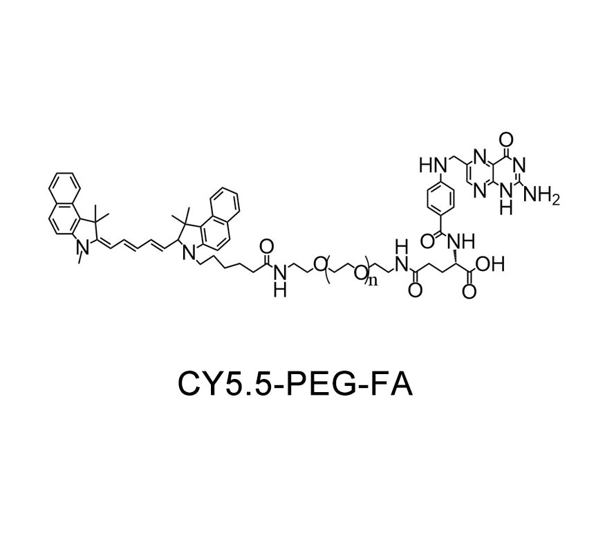 CY5.5-聚乙二醇-叶酸；Cy5.5-PEG-FA