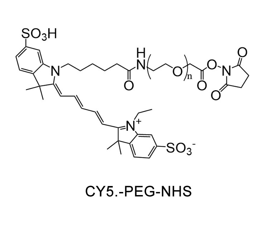 CY5-聚乙二醇-活性酯；CY5-PEG-NHS