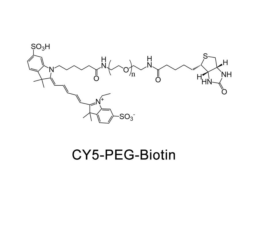 CY5-聚乙二醇-生物素；Cy5-PEG-Biotin