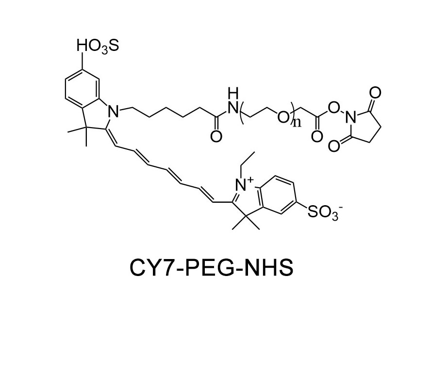 CY7-聚乙二醇-活性酯；Cy7-PEG-NHS