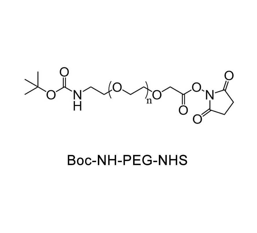 叔丁氧羰基-氨基-聚乙二醇-活性酯；BOC-NH-PEG-NHS