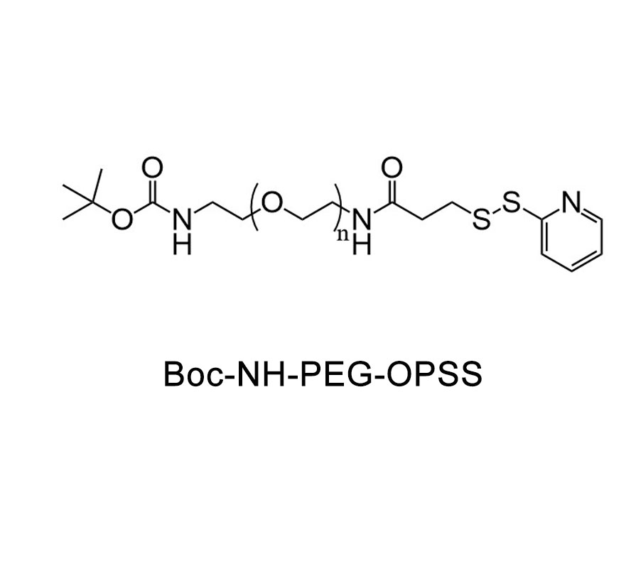 叔丁氧羰基-氨基-聚乙二醇-巯基吡啶；BOC-NH-PEG-OPSS 