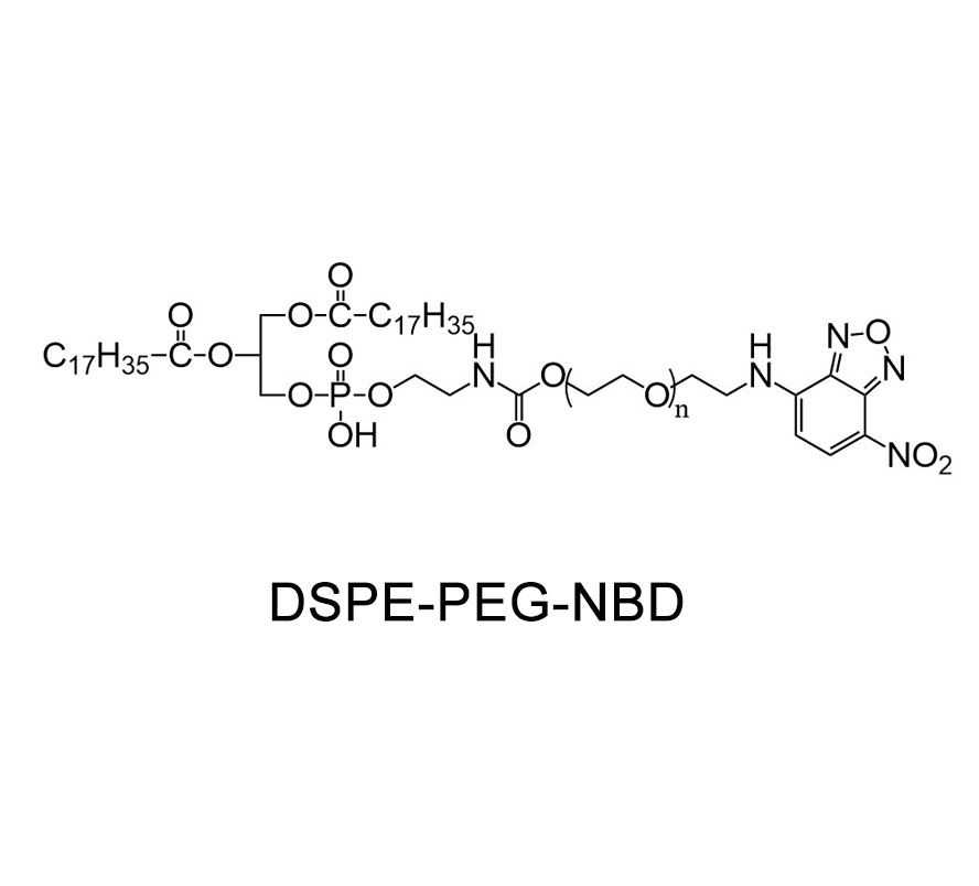 二硬脂酰基磷脂酰乙醇胺-聚乙二醇-苯恶二唑；DSPE-PEG-NBD