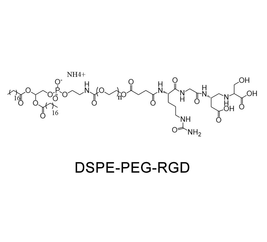 二硬脂酰基磷脂酰乙醇胺-聚乙二醇-多肽；DSPE-PEG-RGD