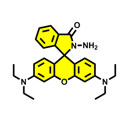 74317-53-6 ；罗丹明B酰肼