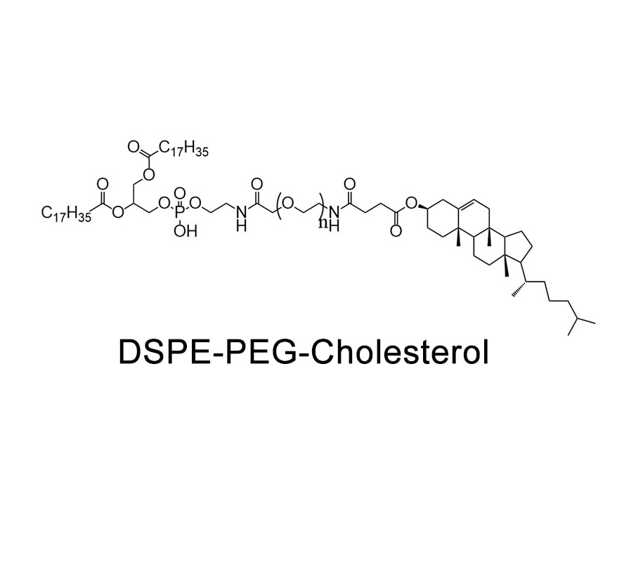 二硬脂酰基磷脂酰乙醇胺-聚乙二醇-胆固醇；DSPE-PEG-Cholesterol；DSPE-PEG-CLS