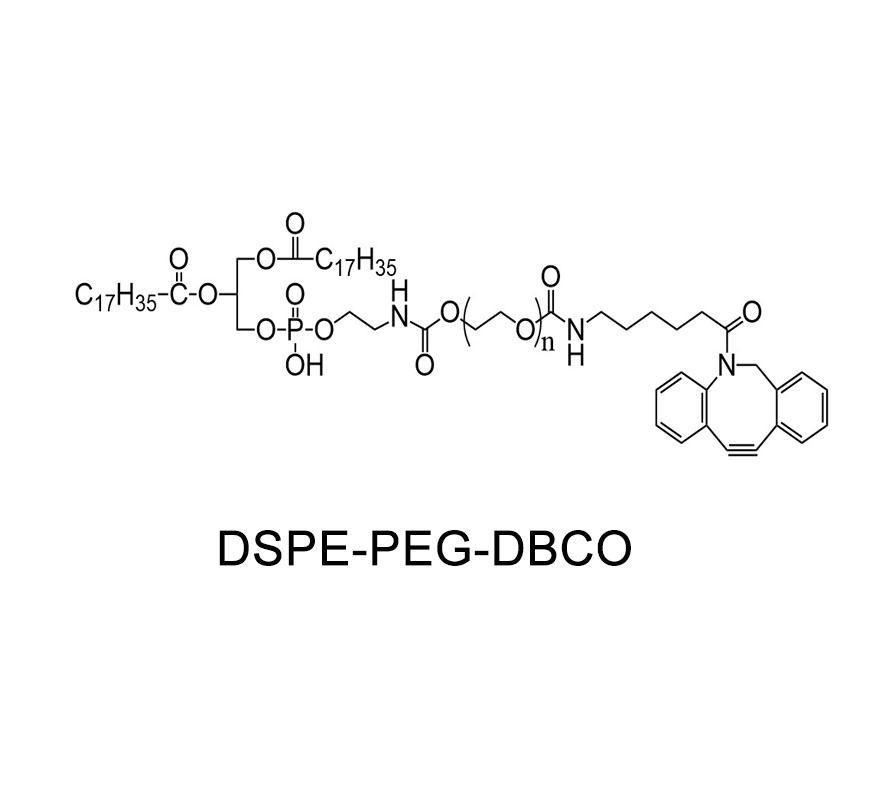 二硬脂酰基磷脂酰乙醇胺-聚乙二醇-二苯基环辛炔；DSPE-PEG-DBCO