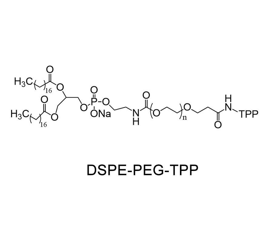 二硬脂酰基磷脂酰乙醇胺-聚乙二醇-磷酸三苯酯；DSPE-PEG-TPP