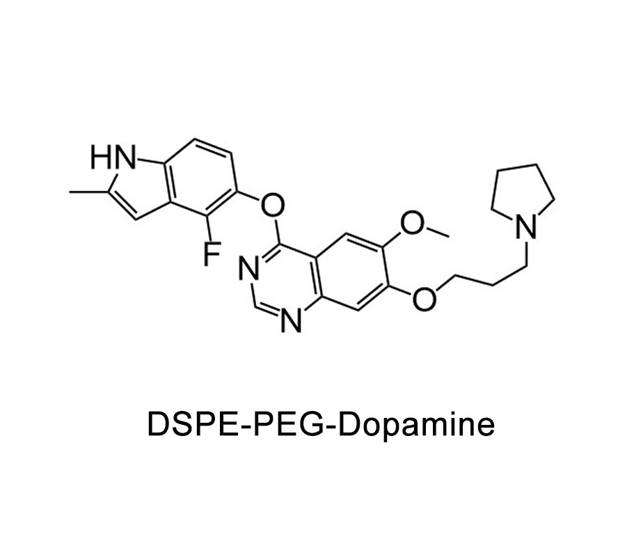 二硬脂酰基磷脂酰乙醇胺-聚乙二醇-多巴胺；DSPE-PEG-Dopamine