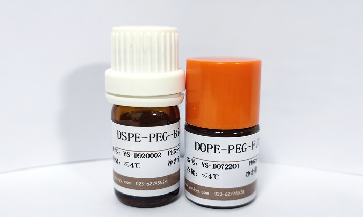 二硬脂酰基磷脂酰乙醇胺-聚乙二醇-牛血清白蛋白；DSPE-PEG-BSA