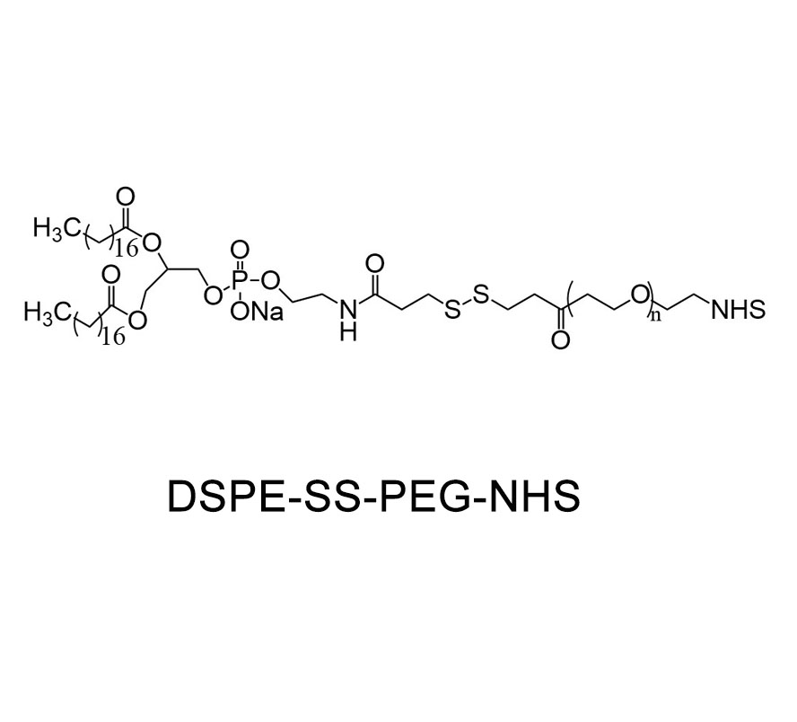 二硬脂酰基磷脂酰乙醇胺-双硫键-聚乙二醇-活性酯；DSPE-SS-PEG-NHS