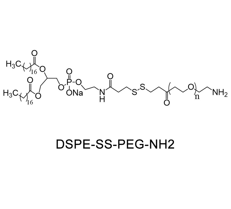 二硬脂酰基磷脂酰乙醇胺-双硫键-聚乙二醇-氨基；DSPE-SS-PEG-NH2