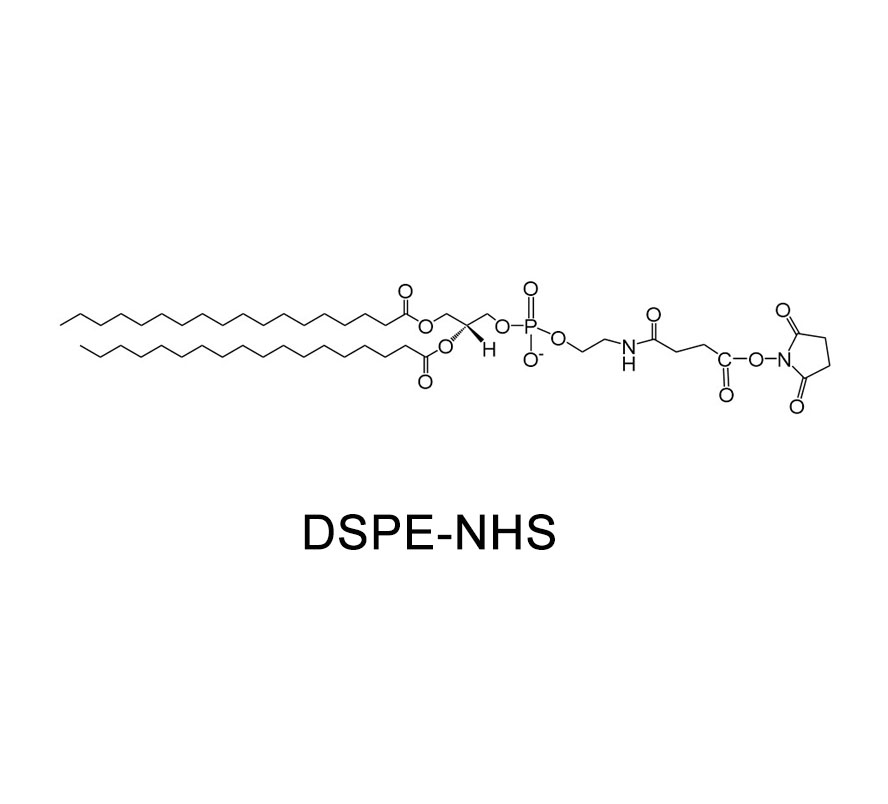 磷脂改性活性酯/琥珀酰亚胺；DSPE伯氨基改性活性基团；DSPE-NHS