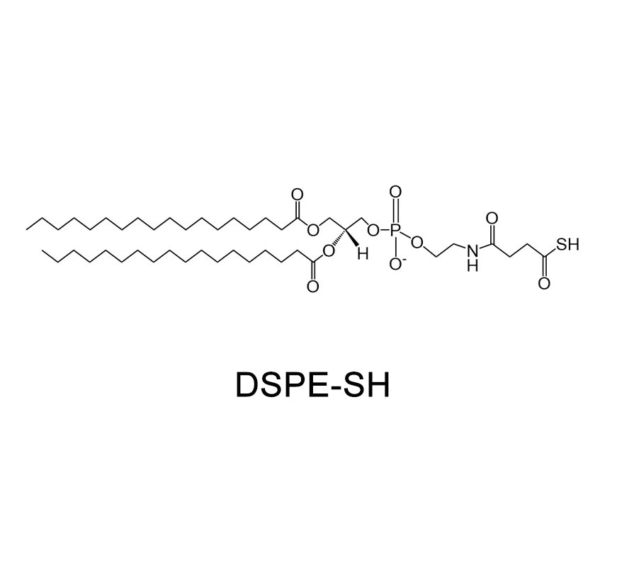 磷脂改性巯基；DSPE-SH；DSPE-Thiol