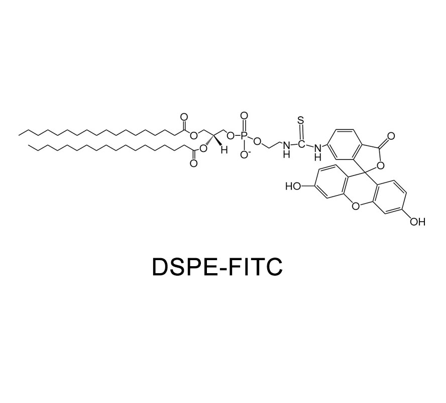 磷脂改性荧光素；DSPE-FITC；磷脂-荧光素标记