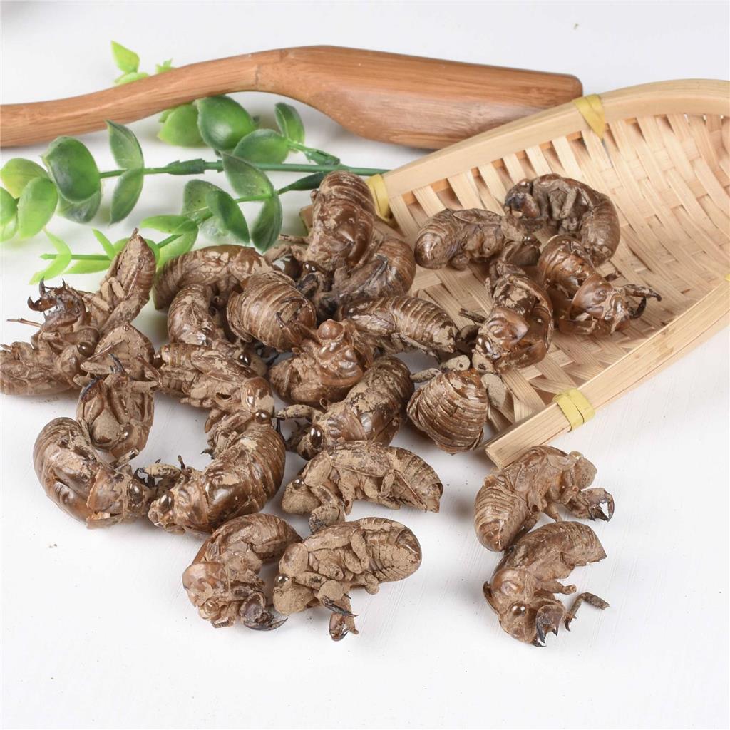 蝉蜕多糖黄酮皂苷多糖多酚生物碱挥发油等提取树脂纯化成分分离定制及检测