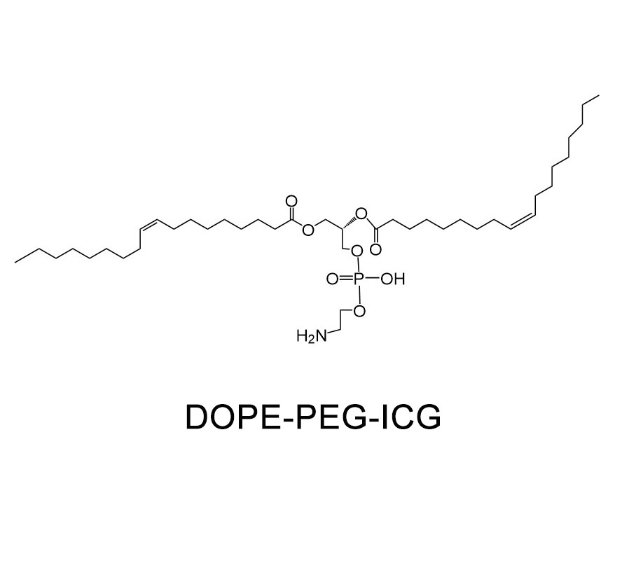 1,2-二油酰-SN-甘油-3-磷酰乙醇胺-聚乙二醇-吲哚菁绿；DOPE-PEG-ICG
