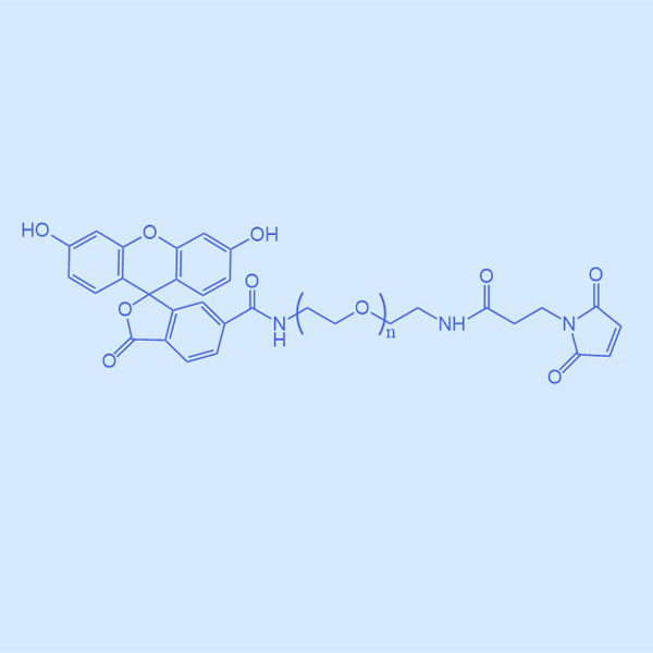 环肽cRGD聚乙二醇-马来酰亚胺；cRGD-PEG-MAL