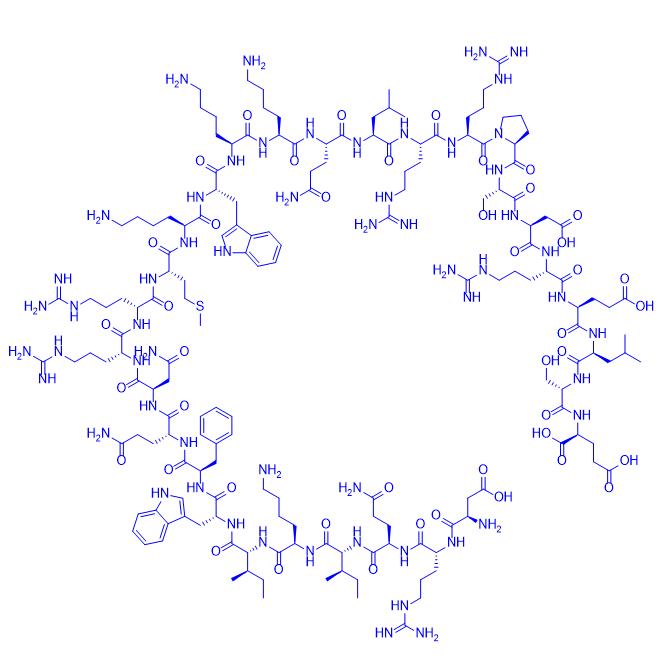 PTD-p65-P1 Peptide.png