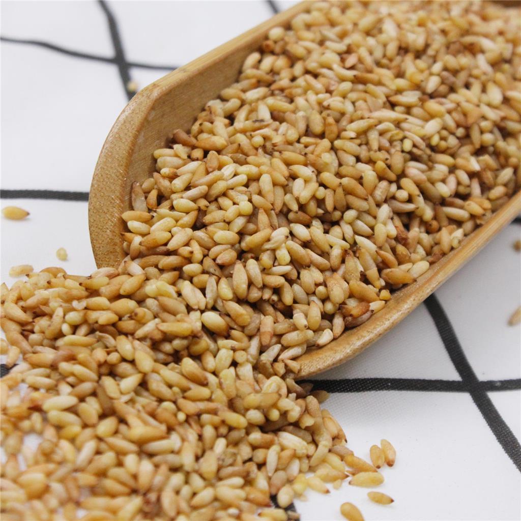 柏子仁多糖黄酮皂苷多糖多酚生物碱挥发油等提取树脂纯化成分分离定制及检测