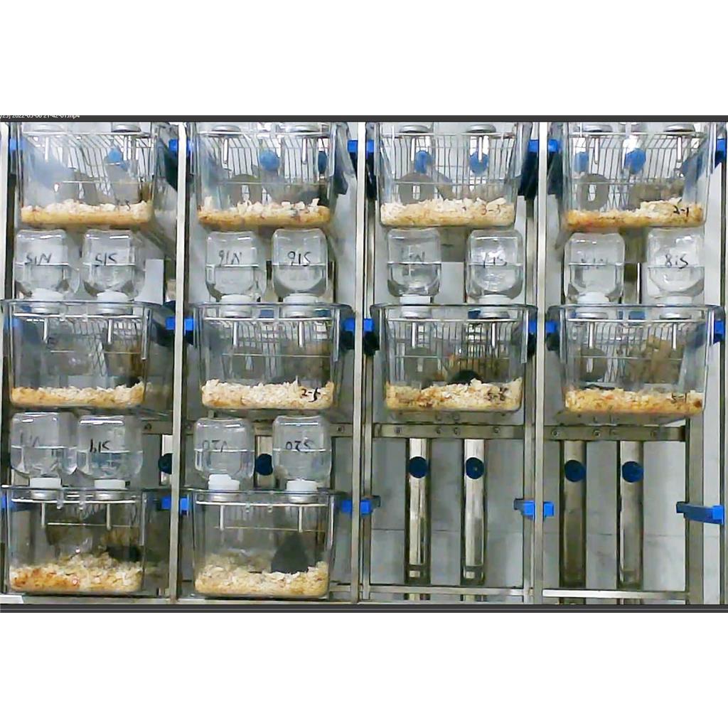 HB-PH 大小鼠糖水偏好实验系统；糖水偏好实验系统；小鼠糖水偏好实验系统（段）