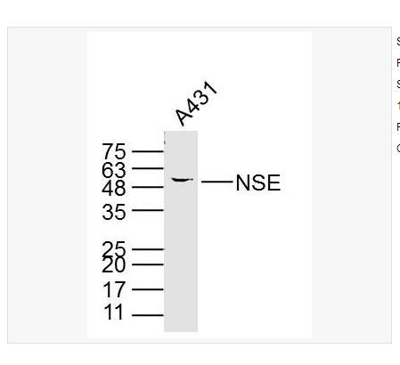 搜狗截图23年05月15日0949_339.png