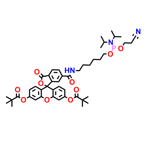 5'-荧光素氨基磷酸酯