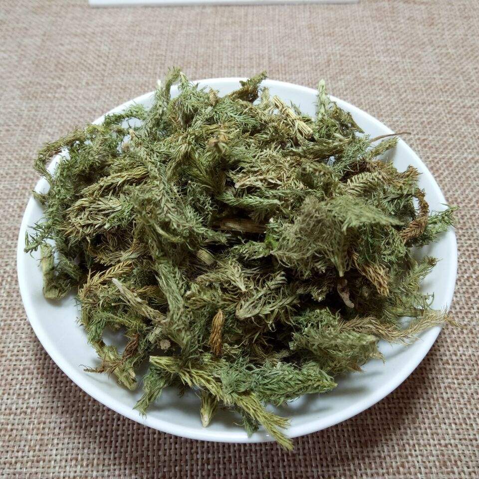 伸筋草多糖黄酮皂苷多糖多酚生物碱挥发油等提取树脂纯化成分分离定制及检测