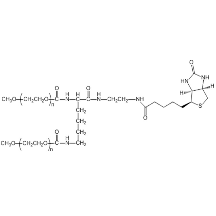 2-Arm-PEG-Biotin，二臂-聚乙二醇-生物素