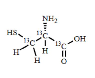 乙酰半胱氨酸杂质05