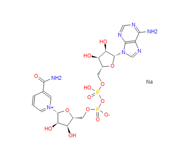 烟酰胺腺嘌呤二核苷酸钠盐 20111-18-6