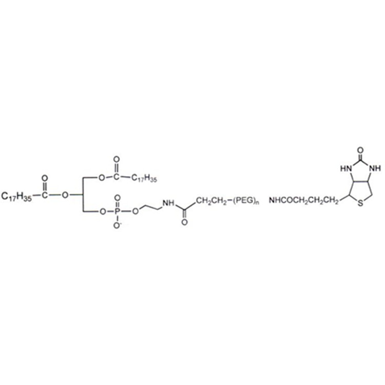 DSPE-PEG-Biotin，85437-57-0，磷脂-聚乙二醇-生物素