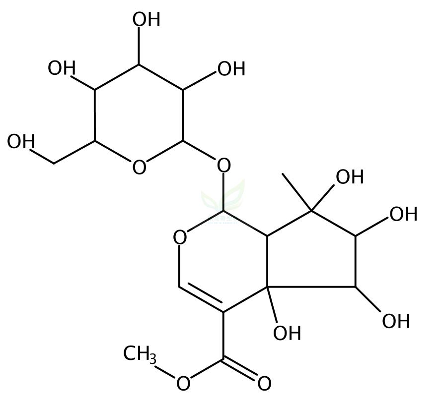 Phloyoside I   139757-58-7 