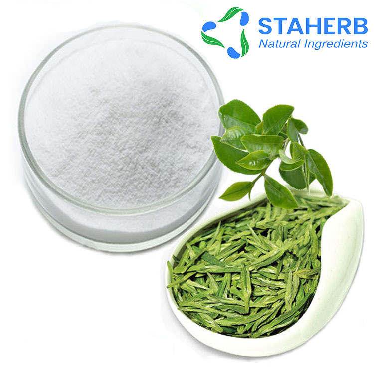 绿茶提取物L-茶氨酸，提高免疫力，记忆力