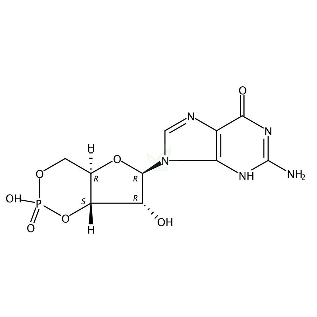 鸟苷3′,5′-环状单磷酸酯  
