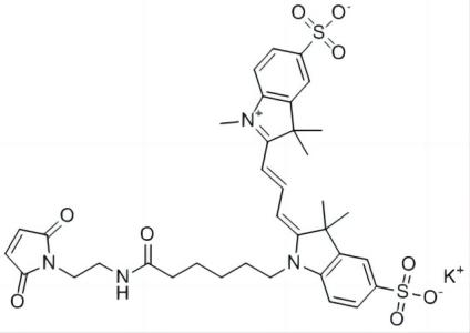 磺酰基Cy3-马来酰亚胺