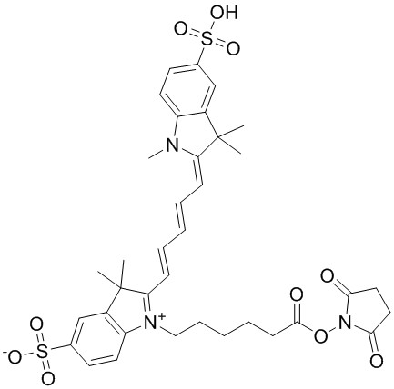 磺酰基Cy5 NHS酯