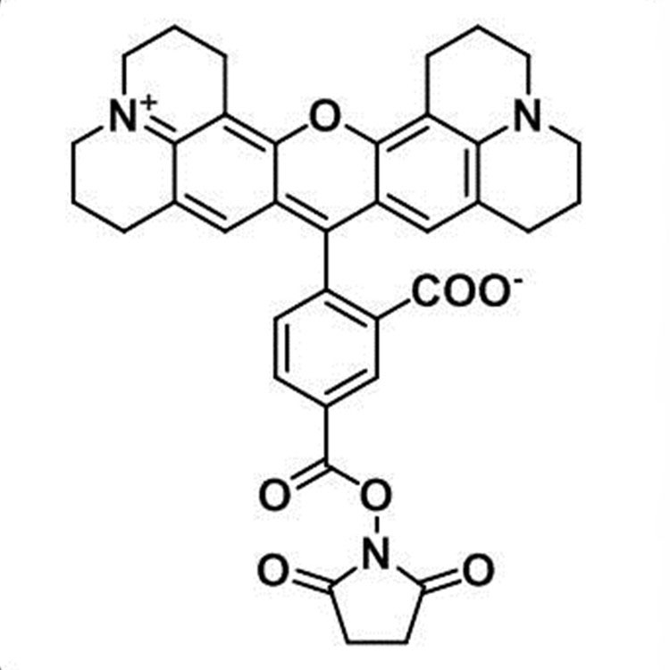 344402-35-3，ROX NHS ester, 5-isomer，5-ROX-琥珀酰亚胺酯