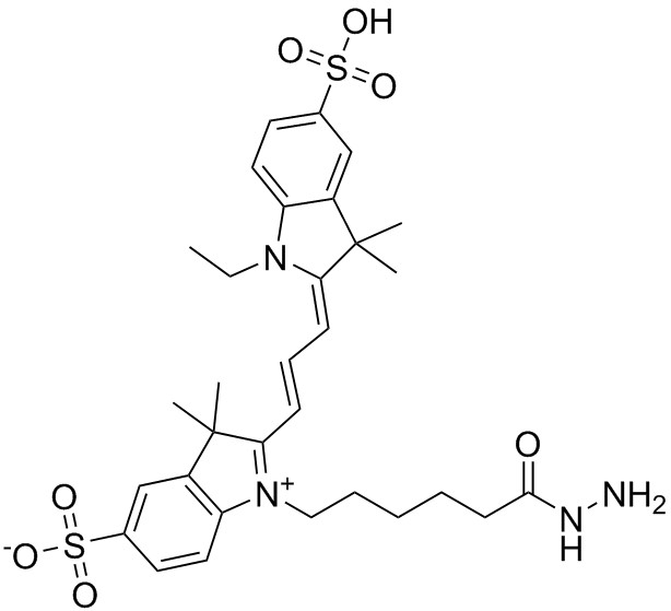 Cy3-酰肼