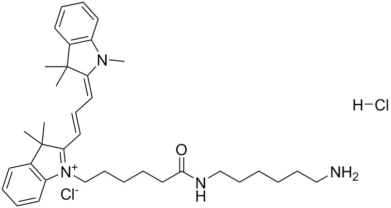 Cy3胺