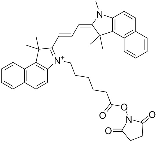 Cy3.5 NHS酯