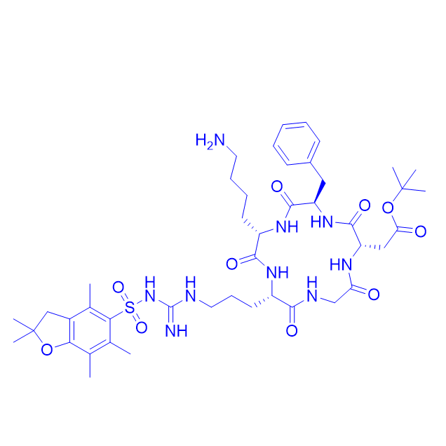 RGD侧链环肽/226559-04-2/cyclic Arg(Pbf)-Gly-Asp(Ot-Bu)-D-Phe-Lys(NH2)