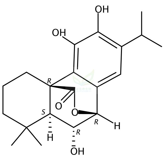 异迷迭香酚   Isorosmanol   93780-80-4