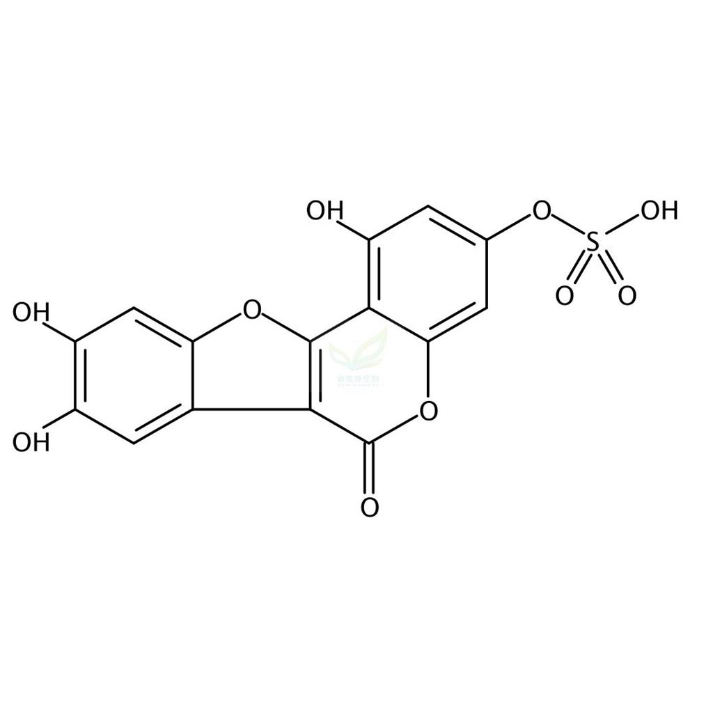 去甲蟛蜞菊内酯-7-硫酸酯   1318240-80-0