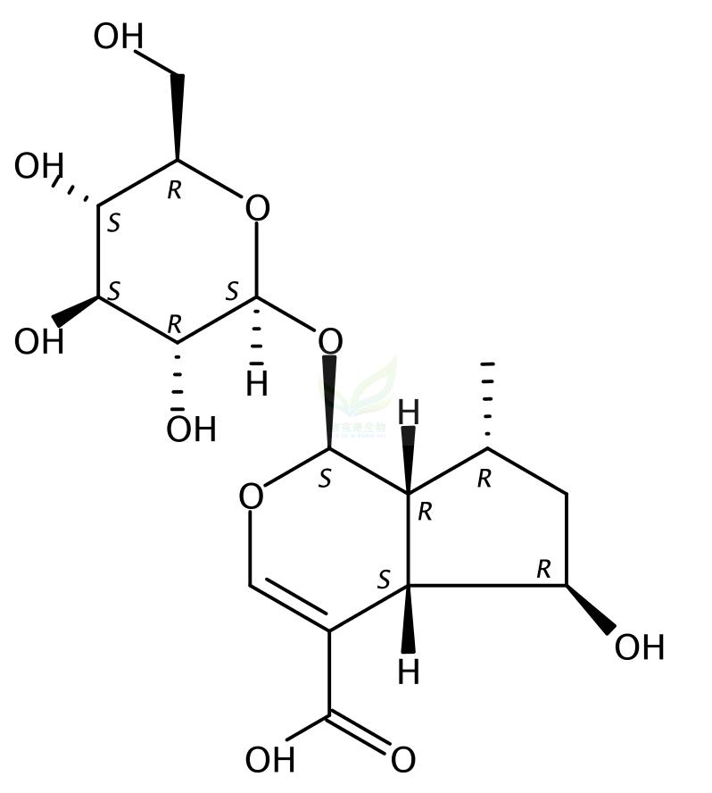 8-dehydroxy shanzhiside  1008532-71-5 